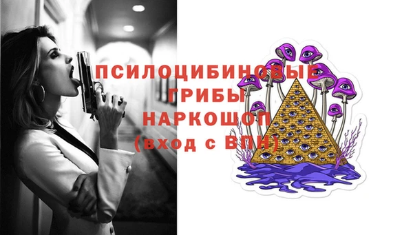 тгк Магас
