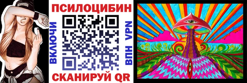 кракен ССЫЛКА  закладки  Никольское  Псилоцибиновые грибы Psilocybe 